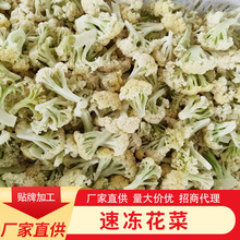 ����׻��� �ك��G�o�ײ˻� �F�� ��ʳ�Ƶ� ��������؛