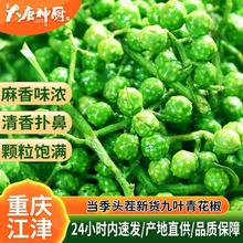 重庆江津九叶青鲜花椒350g鲜藤椒现摘保鲜麻椒青花椒