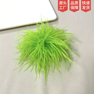 �W���͹��r�Bë��ë�ػ��e���Ů�bY�������ˇ�Ɍ�������l