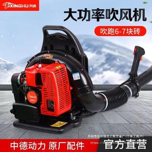 Two-stroke hair dryer gasoline fire extinguisher backpack high-power snow blower deciduous leaf greenhouse wholesale