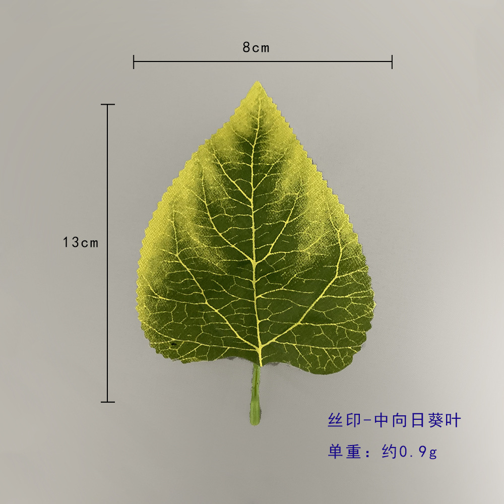 중간 해바라기 잎