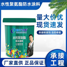 水性聚氨酯防水涂料 卫生间厨房外墙补漏防水涂料 屋顶防水油膏