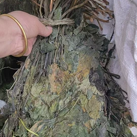 其他药食同源;其他滋补;藏红花