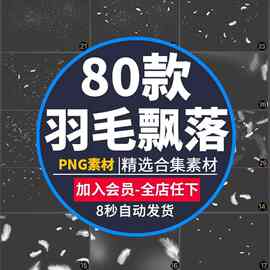 梦幻羽毛飘落效果照片装饰叠层图片影楼后期设计元素PS素材