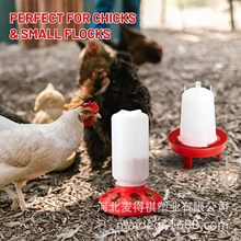 源头厂家养鸡鸭鹅饮水桶食盆食槽大号全自动喂料器Chick Feeders