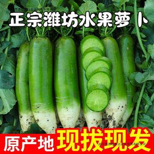 ˮ���}������H���}�����r9��H�h���}���ɳ�C�G�}������