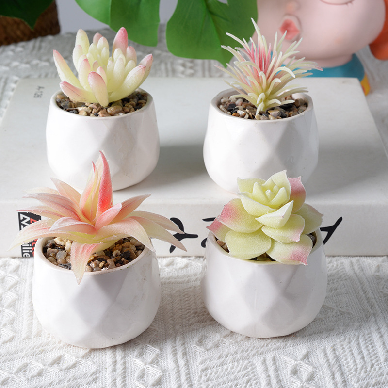 Simulación de plantas flocadas blancas suculentas plantas verdes decoración doméstica mini decoración combinación de maceta artificial bonsai
