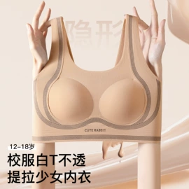 塑身裤;裹胸、抹胸;塑身上衣