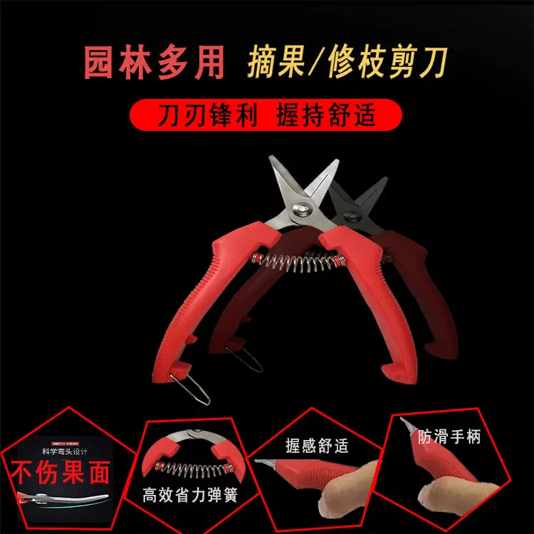 采摘神器剪枝剪刀摘果神器多功能园艺采果花艺剪修枝剪树枝剪刀