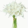 White core