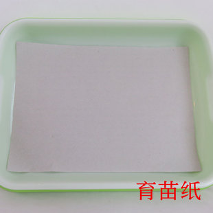 ���缈 �o�����༈ ����P���ϷN�� �Nֲ�� ѿ����ü� ���]