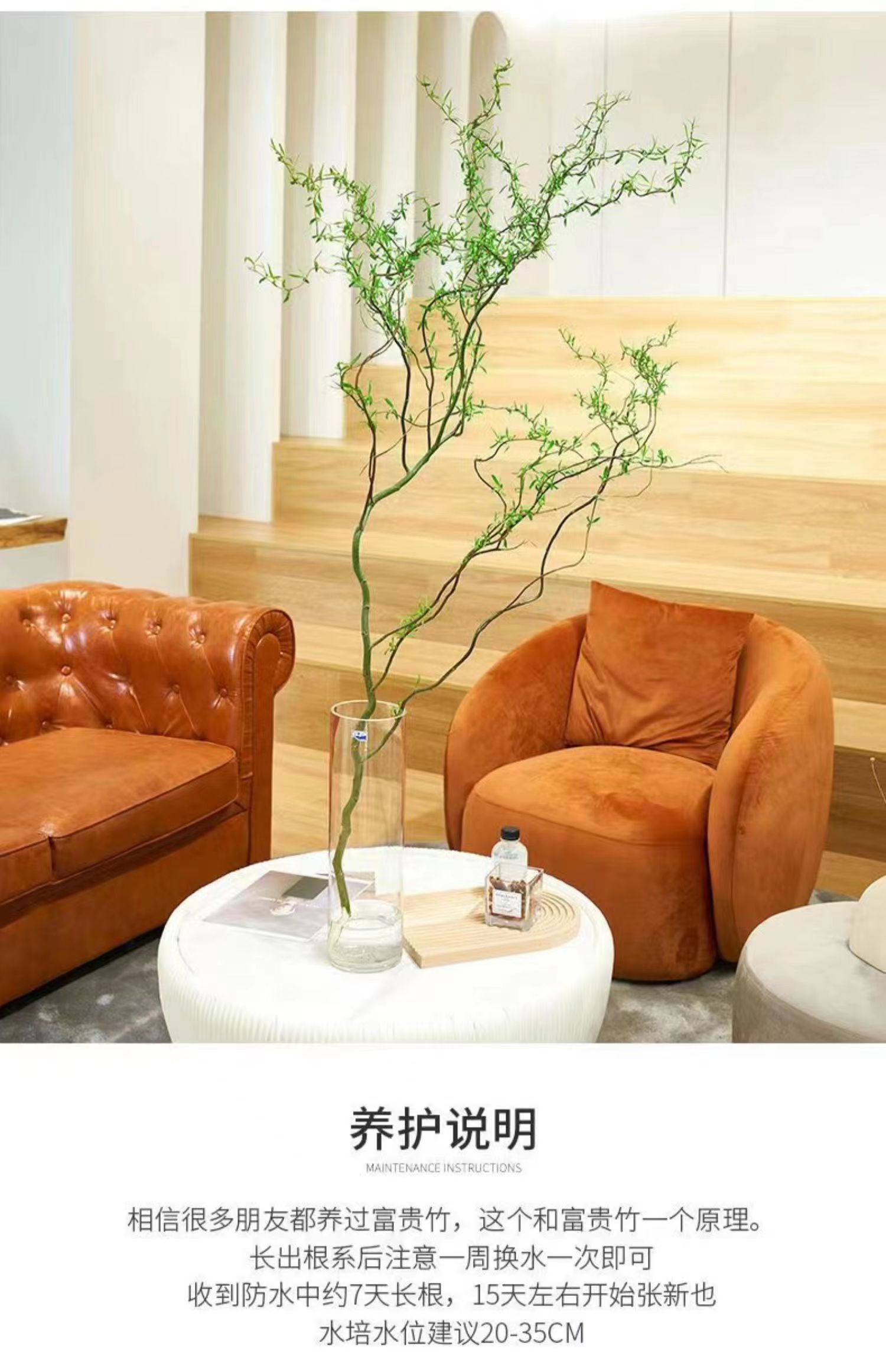 水培植物龙柳鲜枝侘寂中古风客厅办公室黄金绿植遇水好养枯木批发-阿里巴巴