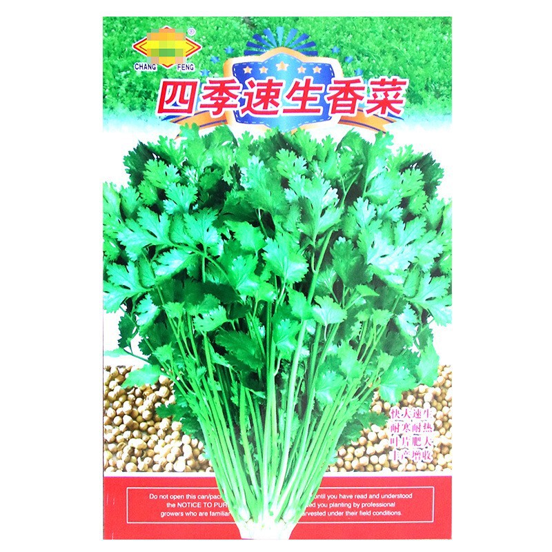 Four-Season Fast-Growing Coriander Seeds. Four-Season Potted Hybrid Coriander Vegetable Seeds for Farm and Vegetable Gardens Four-Season Fast-Growing Coriander Seeds. Four-Season Potted Hybrid Coriander Vegetable Seeds for Farm and Vegetable Gardens