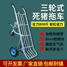 ���i��܇ƽ�������i܇�B�i����������܇�����i�������w�D�\܇����