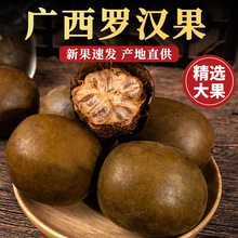 �_�h����ș����Ʒ�����¹��_�h���ɹ��خa�д�����蝙���ݲ�ˮ��