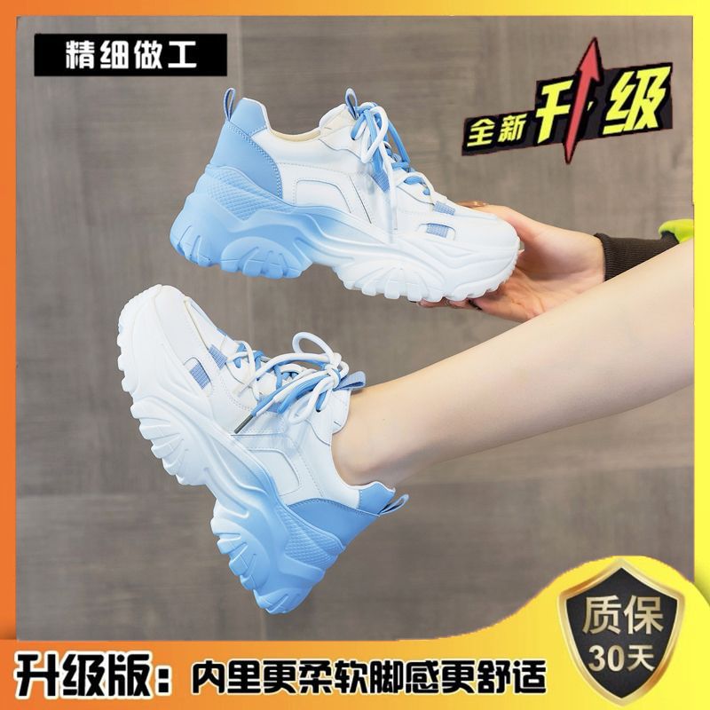 블루 [업그레이드 버전]