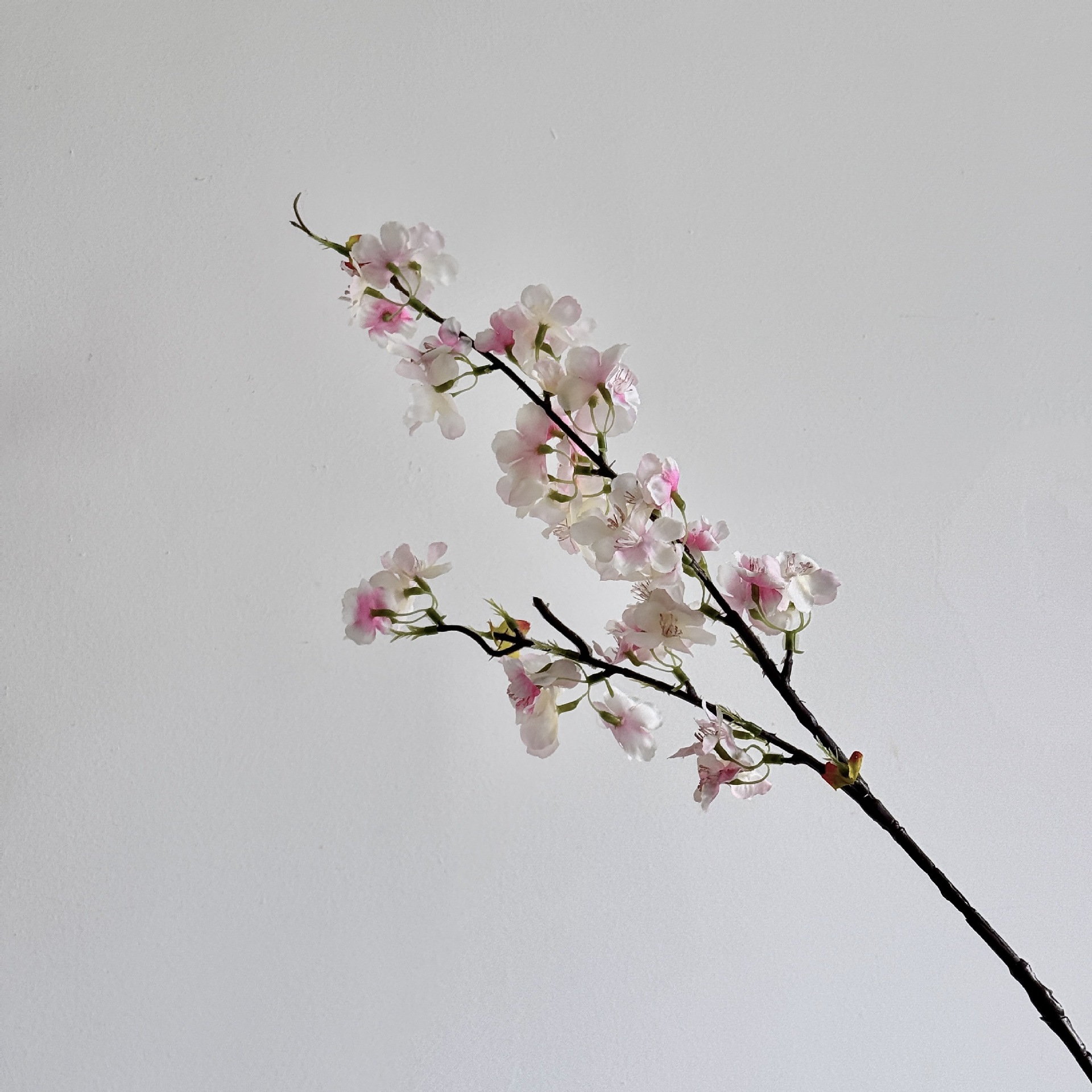 Rama media rosa pálido (80 cm)