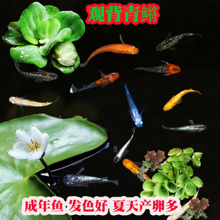 �^�����F�~�^�p�~�û������ˮ�~С���\�����~��ˮ�~���w�ŷ���