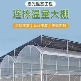 薄膜连栋温室花卉种植温室大棚工程 连栋薄膜大棚