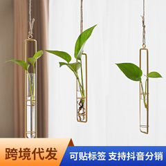北欧装飾水培ガラス容器花瓶客間創意吊り門飾り壁緑羅植物水養透明植木鉢