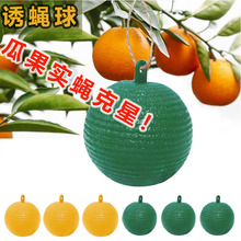 �Tω���ω�Ϲ��@��ľ�ù�ω�T����ճ�x���T�x��ᘷ�ֲ�����