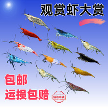 �߲��^�p�r�ײ͵�ˮ�r�M�ϙѻ��㼪ʿ�����坍�r�{�z�q�O���r���B