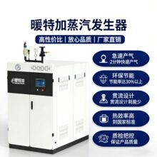 天燃气蒸汽发生器低氮1吨杀菌商用酿酒专用然气液化气2吨蒸汽锅炉