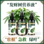 家用植物液体盆栽绿植