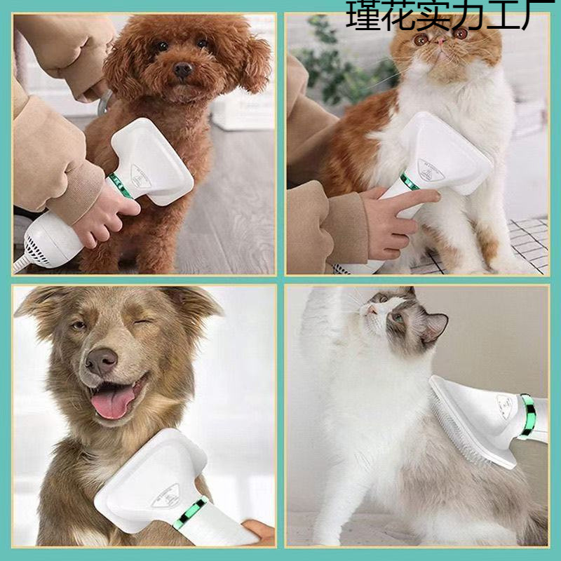 Secador de pelo para mascotas, artefacto de cepillado, perro, secador de pelo esponjoso integrado de secado rápido
