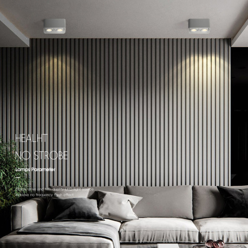 LED surface-mounted downlight without main light, COB spotlights for home use, single or double head lighting, ceiling light fixture, square