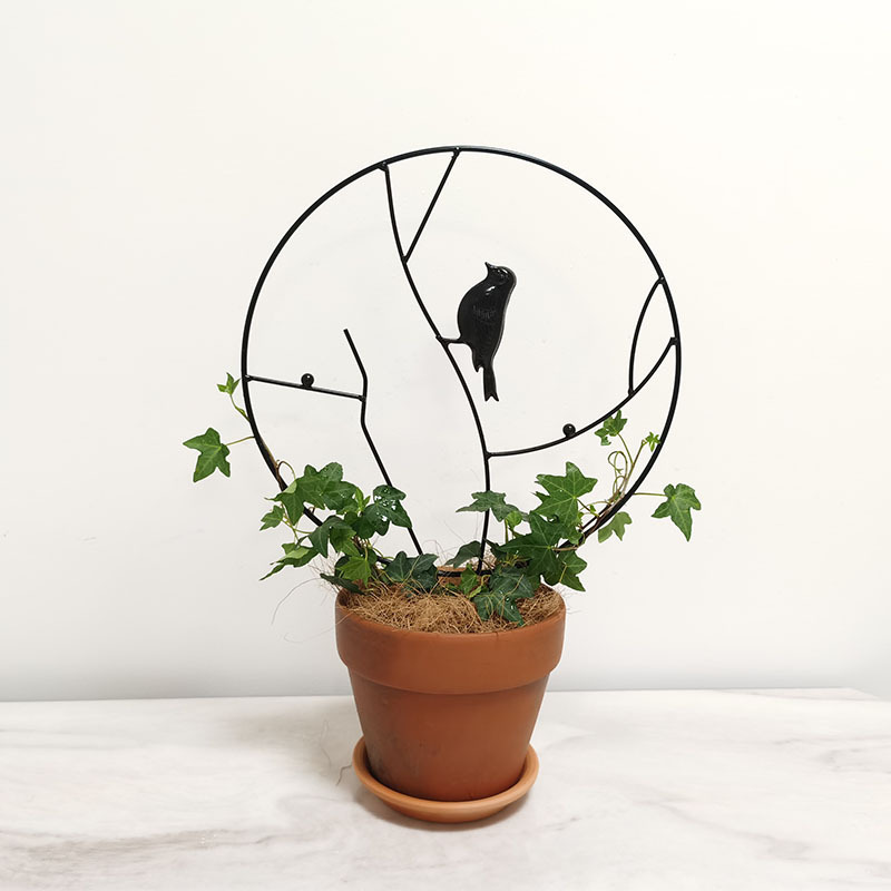 Reprehenderit qui in ea