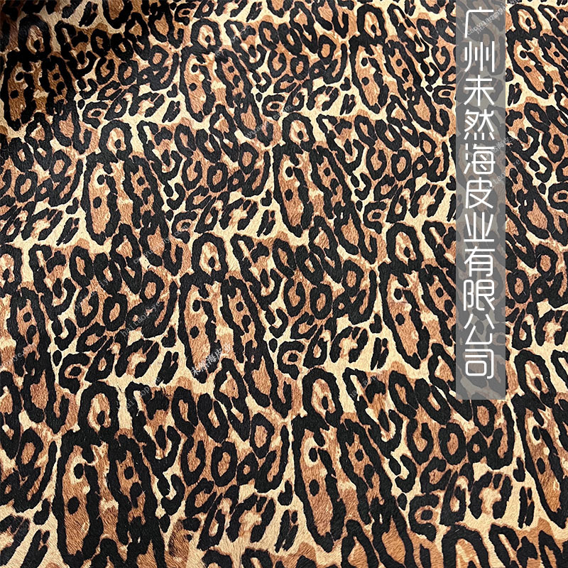 갈색 표범 무늬 말 머리