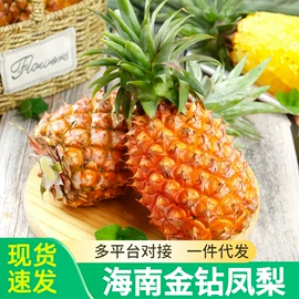 块茎类;其他水果;苹果