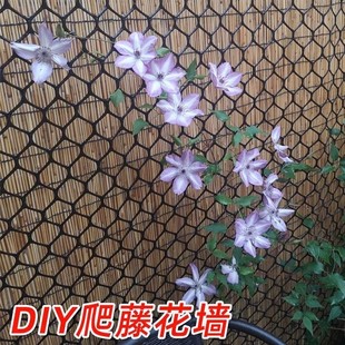 Rose Flower Wall Rack Grid Plant Climbing Frame Climbing Net Planting Net Climbing Frame Net Large Hole Plastic Net Traction