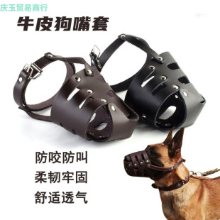 ţƤ��������С��Ȯ���RȮ���e�_���{������ҧ�˿���ȫ������