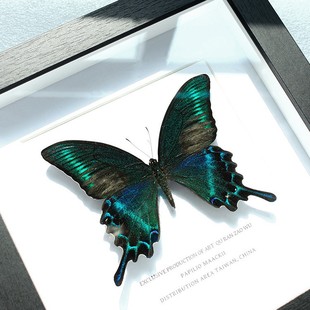 ���x�G�����P��������˱���Ʒ�Y��[���b����˹�Ů�����նY��