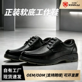 防砸防刺穿鞋;其他足部防护;男式商务皮鞋
