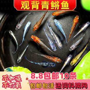 �^�����F��ˮ�~��������ˮ�~�^�p�~���B���~���^ؐ�ǹ����F���Ӝ�