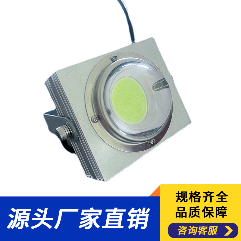 清達LED集魚燈捕魚燈誘魚燈遊艇釣魚照明燈COB收網燈聚魚燈50W