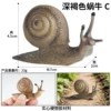 ZZ dark brown snail C