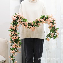 õ��ٻ����̨���@�����b�픿��{�ܵ��b��ٗl�ړ��p�@����