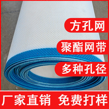 聚酯方孔网输送网带风干千张机食品烘干厂家干燥过滤网耐高温微孔