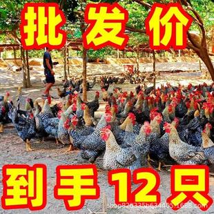 ���ڰ���J���u���N���J������Ó���u��ɢ�B�G�����u��Ʒ���J��