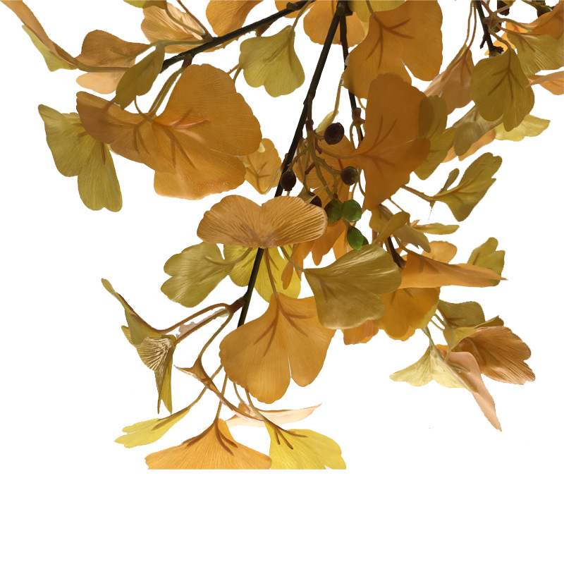 XRB-190 古枝银杏75叶9.jpg