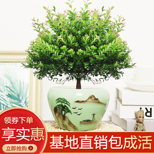 С�~����҃ȿ͏d�k�����ԾGֲ���ܺ��B�׻�����՚��Ϙ��մ��辰