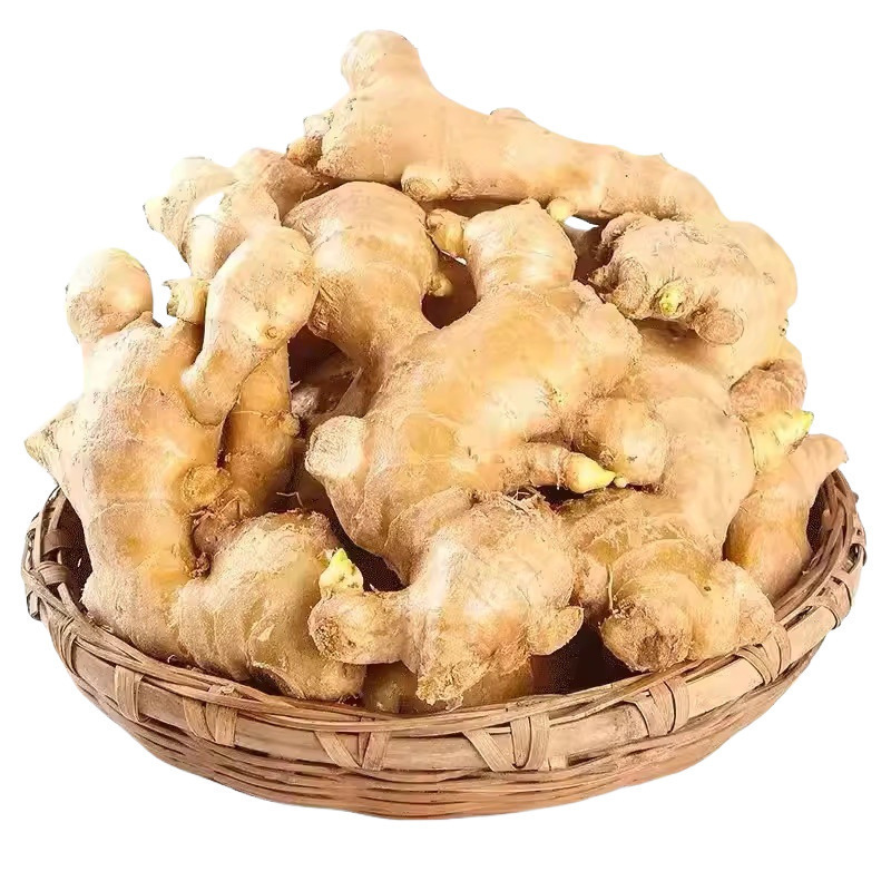 高端头发发夹