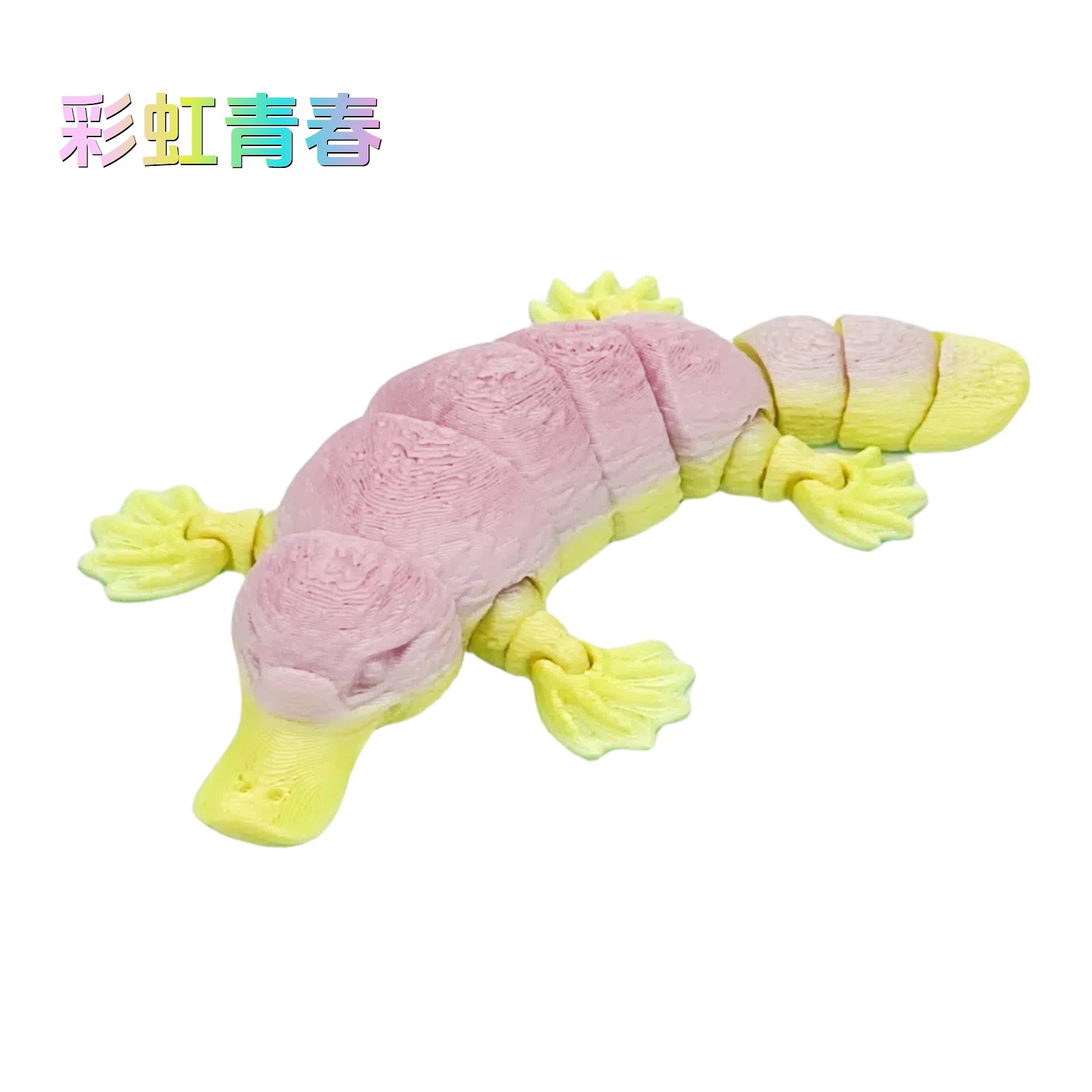 13CM-무지개 청소년