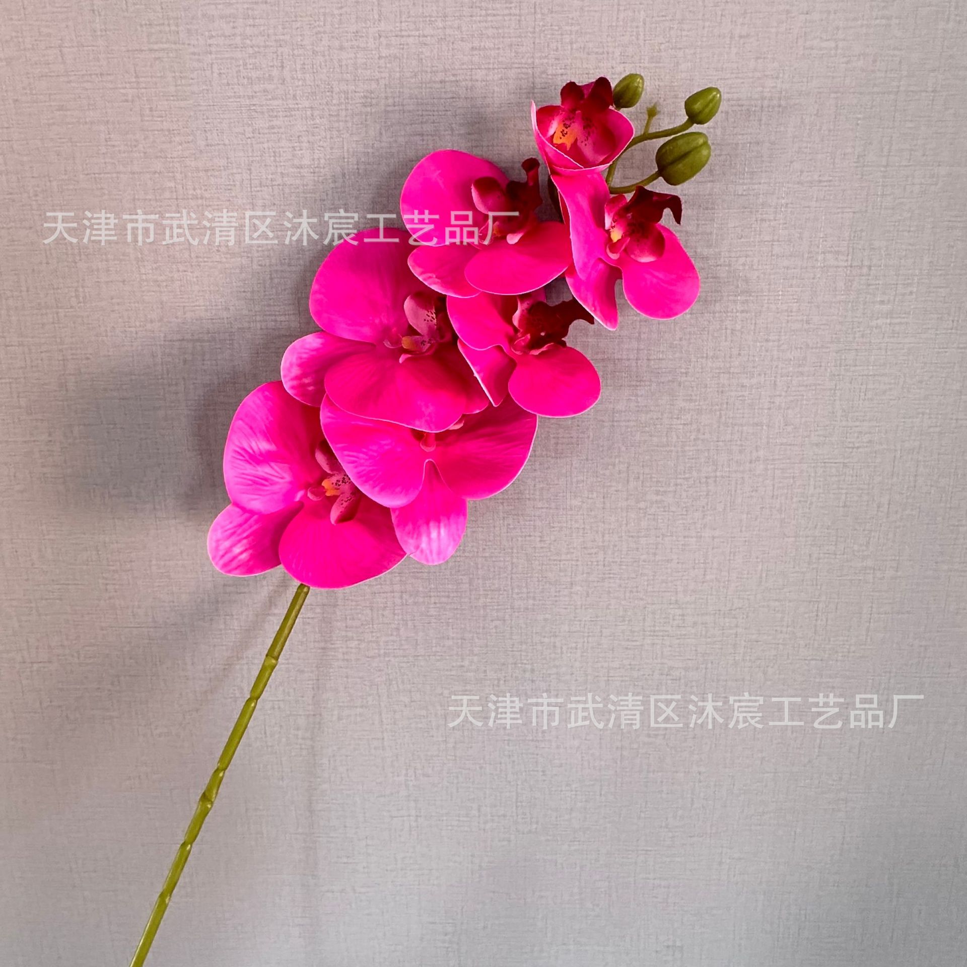 3D 7-cabeza Phalaenopsis mano-sensación de película Phalaenopsis venta al por mayor boda hogar decoración floral tiro flor material
