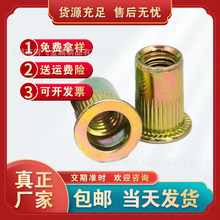 厂家平头竖纹拉铆螺母沉头条纹家具螺母注塑铆螺母拉帽圆螺母螺帽