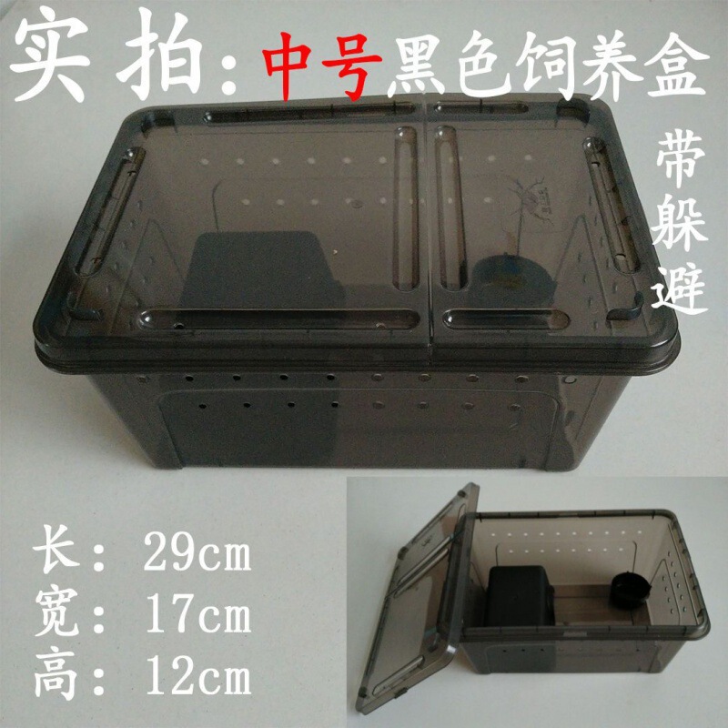 爬虫類、白翡翠カタツムリ、ホーンカエル、クモ、カマキリ、ヤドカリ、昆虫、特大、中型、小型、ミニ高透明飼育箱|undefined
